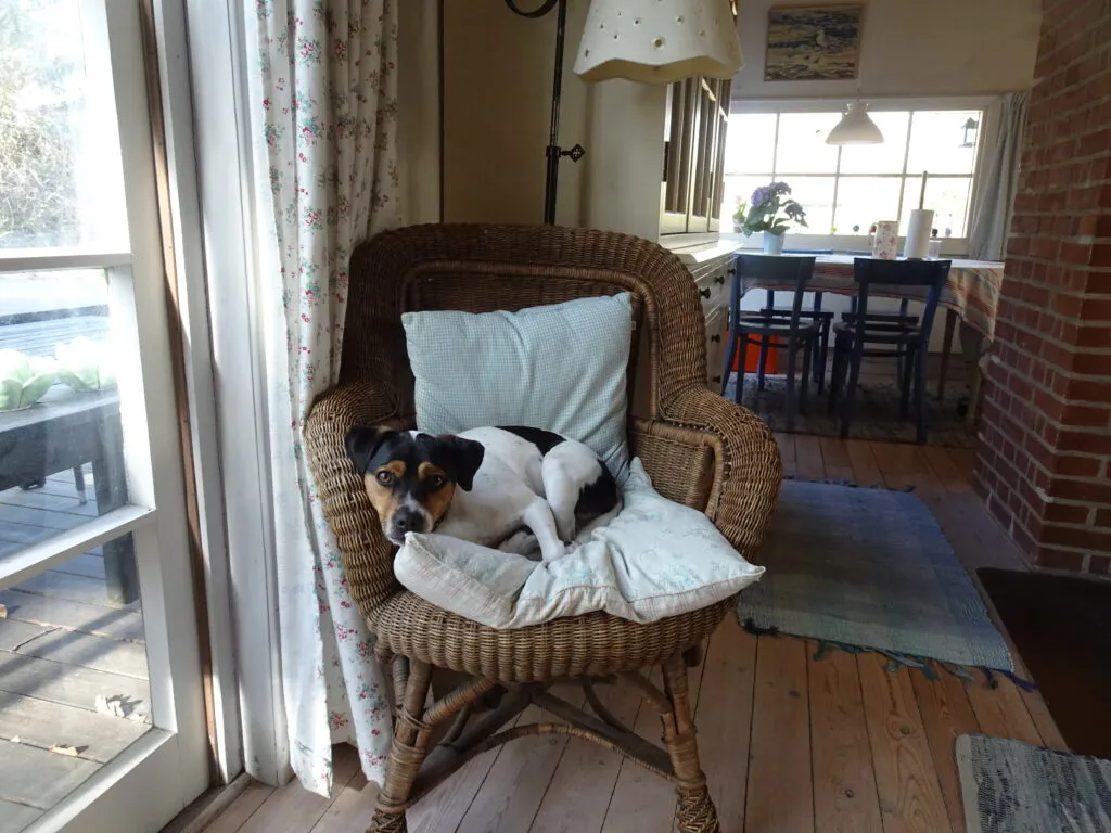 Vaks – April 2021 (6)